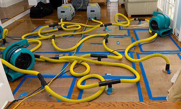 Professional Burst Pipe Water Damage technician working in Lovell, ME